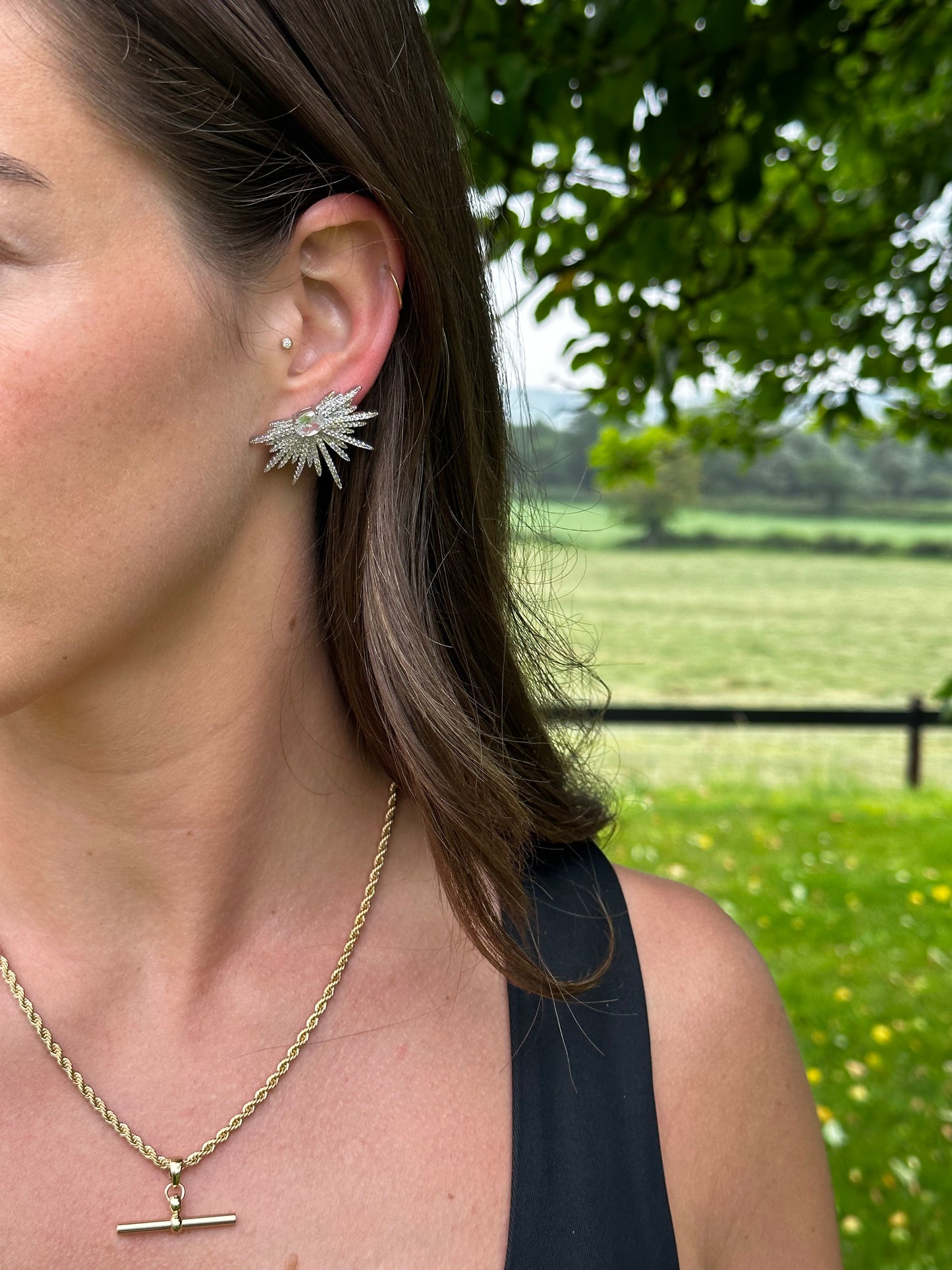 Rebecca star burst silver earrings